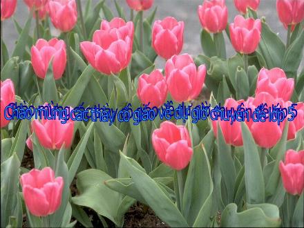 Bài giảng Kĩ thuật Lớp 5 - Tiết 1: Đính khuy hai lỗ - Năm học 2009-2010