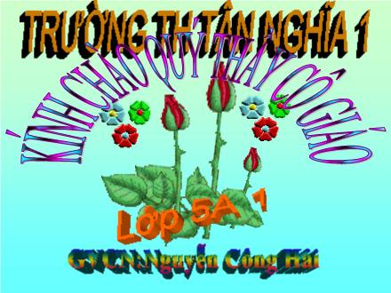 Bài giảng Lịch sử Lớp 5 - Bài: Nước nhà bị chia cắt - Nguyễn Công Hải - Năm học 2010-2011