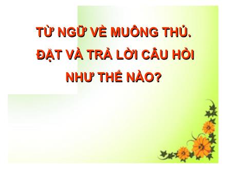 Bài giảng Luyện từ và câu Lớp 2 - Bài: Từ ngữ về muông thú. Đặt và trả lời câu hỏi như thế nào?