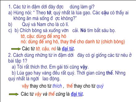Bài giảng Luyện từ và câu Lớp 5 - Bài: Đại từ
