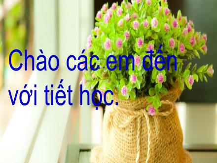 Bài giảng Ngữ văn Khối 6 - Bài: So sánh