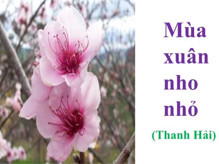 Bài giảng Ngữ văn Lớp 9 - Bài: Mùa xuân nho nhỏ