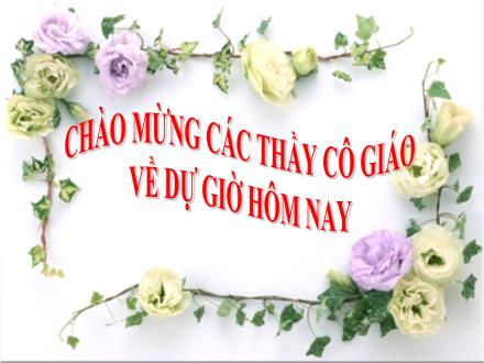 Bài giảng Sinh học Lớp 6 - Bài 38: Rêu, cây rêu - Nguyễn Thị Hồng Xoan