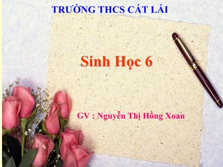 Bài giảng Sinh học Lớp 6 - Bài 39: Quyết - Cây dương xỉ - Nguyễn Thị Hồng Xoan