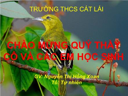 Bài giảng Sinh học Lớp 7 - Bài 44: Đa dạng và đặc điểm chung của lớp chim - Nguyễn Thị Hồng Xoan