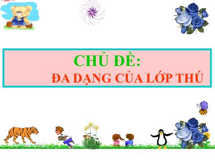 Bài giảng Sinh học Lớp 7 - Chủ đề: Đa dạng của lớp thú