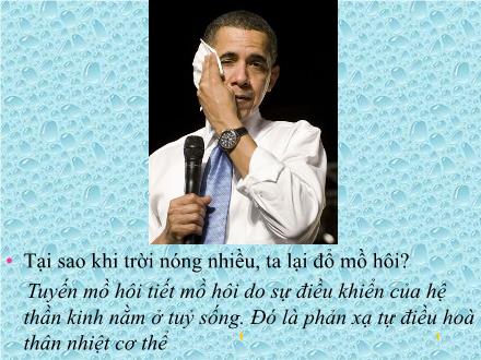 Bài giảng Sinh học Lớp 8 - Bài 43: Giới thiệu chung hệ thần kinh