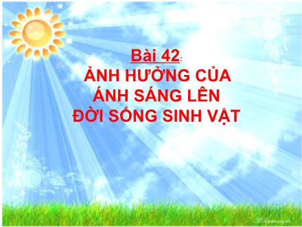 Bài giảng Sinh học Lớp 9 - Bài 42: Ảnh hưởng của ánh sáng lên đời sống sinh vật