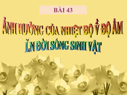 Bài giảng Sinh học Lớp 9 - Bài 43: Ảnh hưởng của nhiệt độ và độ ẩm lên đời sống sinh vật