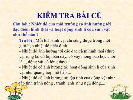 Bài giảng Sinh học Lớp 9 - Bài 44: Ảnh hưởng lẫn nhau giữa các loài sinh vật