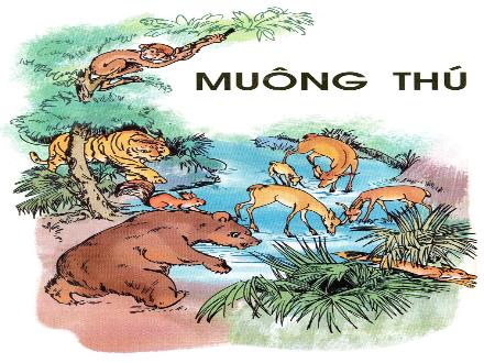 Bài giảng Tập đọc Khối 2 - Bài: Bác sĩ Sói