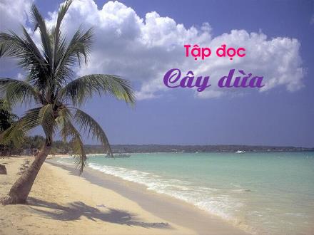 Bài giảng Tập đọc Khối 2 - Bài: Cây dừa