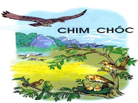 Bài giảng Tập đọc Khối 2 - Bài: Chim sơn ca và bông cúc trắng