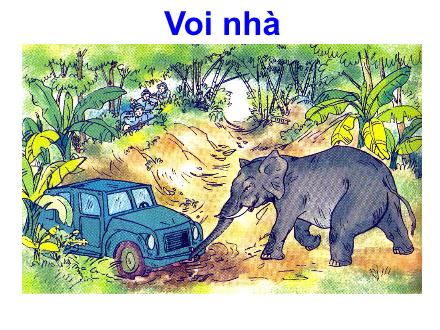 Bài giảng Tập đọc Khối 2 - Bài: Voi nhà