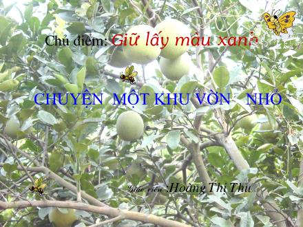 Bài giảng Tập đọc Khối 5 - Bài: Chuyện một khu vườn nhỏ