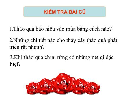 Bài giảng Tập đọc Khối 5 - Bài: Hành trình của bầy ong