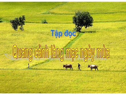 Bài giảng Tập đọc Khối 5 - Bài: Quang cảnh làng mạc ngày mùa