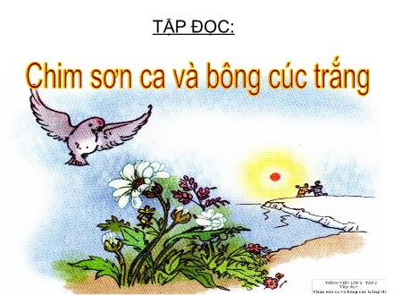 Bài giảng Tập đọc Lớp 2 - Bài: Chim sơn ca và bông cúc trắng