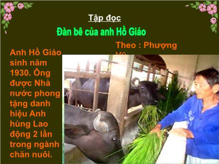 Bài giảng Tập đọc Lớp 2 - Bài: Đàn bê của anh Hồ Giáo