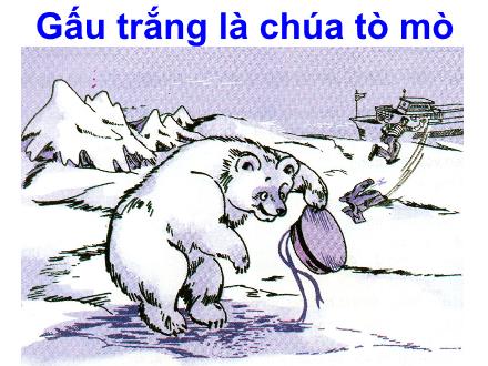 Bài giảng Tập đọc Lớp 2 - Bài: Gấu trắng là chúa tò mò