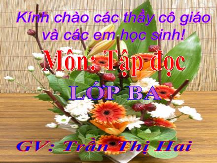 Bài giảng Tập đọc Lớp 3 - Bài: Báo cáo kết quả tháng thi đua “Noi gương chú bộ đội” - Trần Thị Hai - Năm học 2010-2011