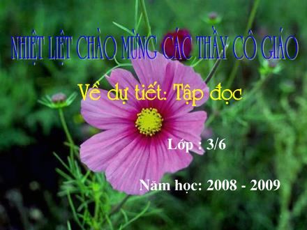 Bài giảng Tập đọc Lớp 3 - Bài: Mẹ vắng nhà ngày bão - Năm học 2005-2006