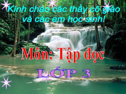 Bài giảng Tập đọc Lớp 3 - Bài: Người lính dũng cảm