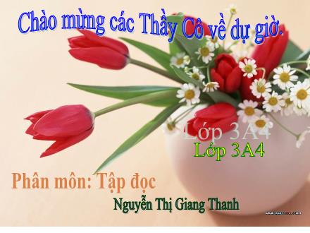 Bài giảng Tập đọc Lớp 3 - Bài: Tiếng ru - Nguyễn Thị Giang Thanh Bài giảng Tập đọc Lớp 3 - Bài: Tiếng ru - Nguyễn Thị Giang Thanh