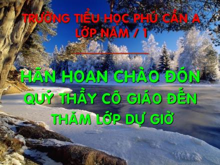 Bài giảng Tập làm văn Lớp 5 - Tiết 33: Ôn tập về viết đơn - Trường Tiểu học Phú Cần A - Năm học 2009-2010