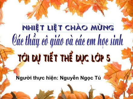 Bài giảng Thể dục Lớp 5 - Bài: Động tác vươn thở và tay. Trò chơi “Dẫn bóng” - Nguyễn Ngọc Tú - Năm học 2014-2015