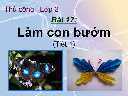 Bài giảng Thủ công Lớp 2 - Bài 17: Làm con bướm (Tiết 1)