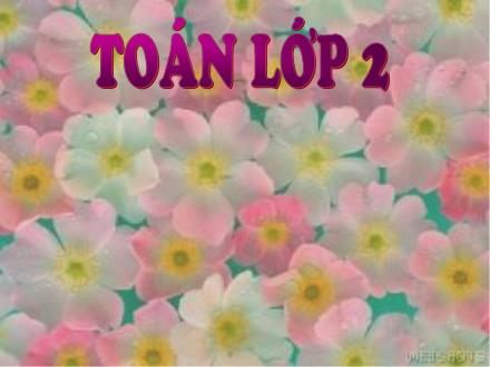 Bài giảng Toán Khối 2 - Bài: Luyện tập (Trang 20)