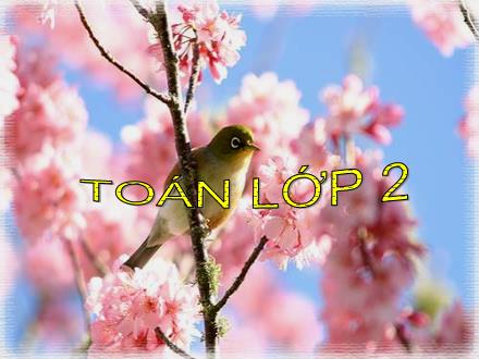 Bài giảng Toán Lớp 2 - Bài: Đơn vị, chục, trăm, nghìn