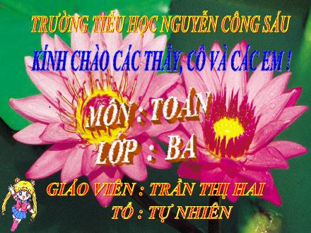 Bài giảng Toán Lớp 3 - Bài: Số 10 000 – Luyện tập - Trần Thị Hai - Năm học 2008-2009