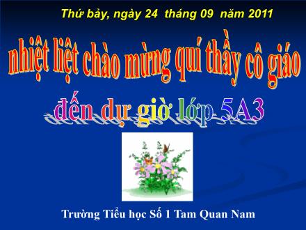 Bài giảng Toán Lớp 5 - Bài 27: Héc-ta - Trường Tiểu học Số 1 Tam Quan Nam - Năm học 2011-2012