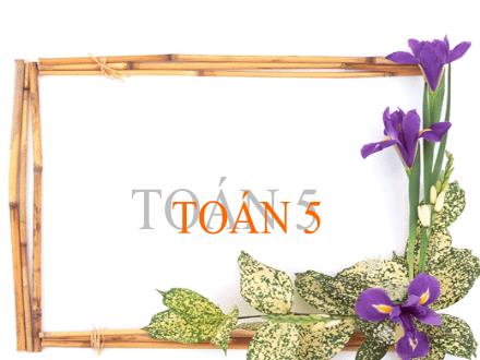 Bài giảng Toán Lớp 5 - Bài: Giải toán về tỉ số phần trăm