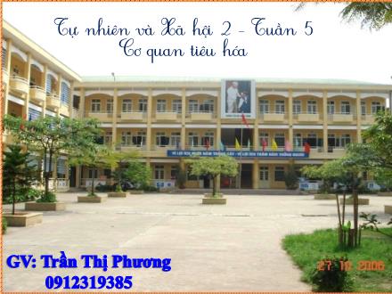 Bài giảng Tự nhiên và xã hội Khối 2 - Bài: Cơ quan tiêu hóa - Trần Thị Phương