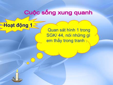 Bài giảng Tự nhiên và xã hội Khối 2 - Bài: Cuộc sống xung quanh