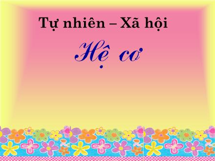 Bài giảng Tự nhiên và xã hội Khối 2 - Bài: Hệ cơ