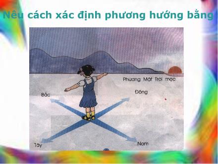 Bài giảng Tự nhiên và xã hội Khối 2 - Bài: Mặt trăng và các vì sao