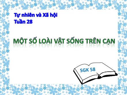 Bài giảng Tự nhiên và xã hội Khối 2 - Bài: Một số loài vật sống trên cạn