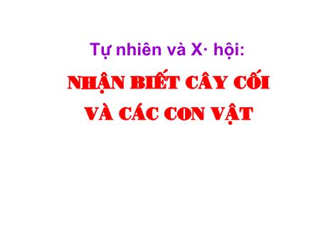 Bài giảng Tự nhiên và xã hội Khối 2 - Bài: Nhận biết cây cối và các con vật
