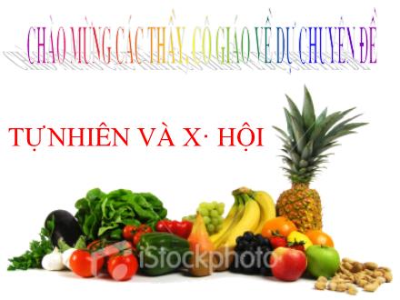 Bài giảng Tự nhiên và xã hội Khối 2 - Bài: Phòng tránh ngộ độc khi ở nhà