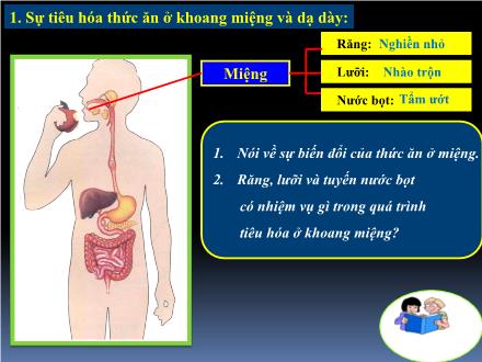Bài giảng Tự nhiên và xã hội Khối 2 - Bài: Tiêu hóa thức ăn