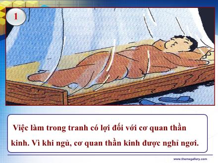 Bài giảng Tự nhiên và xã hội Khối 3 - Bài: Vệ sinh thần kinh