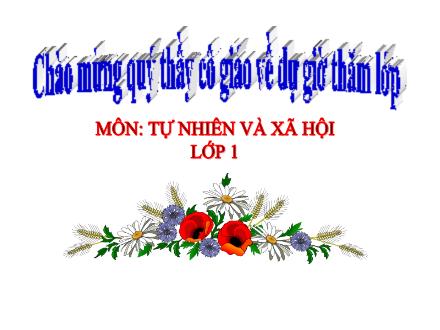 Bài giảng Tự nhiên và xã hội Lớp 1 - Bài 15: Lớp học