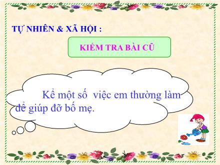 Bài giảng Tự nhiên và xã hội Lớp 1 - Bài: An toàn khi ở nhà