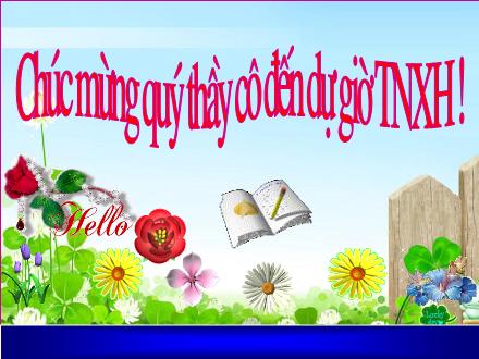 Bài giảng Tự nhiên và xã hội Lớp 1 - Bài: An toàn trên đường đi học