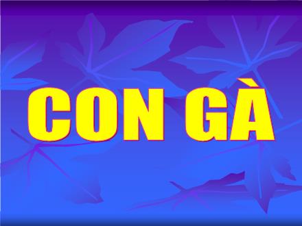 Bài giảng Tự nhiên và xã hội Lớp 1 - Bài: Con gà