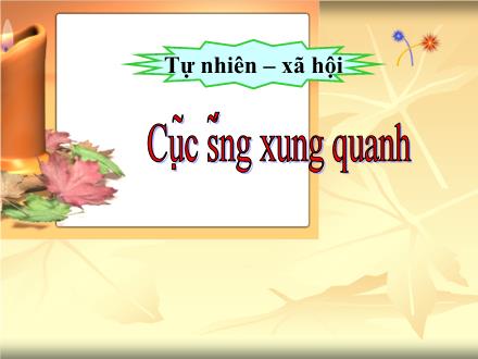 Bài giảng Tự nhiên và xã hội Lớp 1 - Bài: Cuộc sống xung quanh